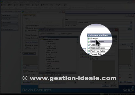 Grer l'unit d'un article avec Ciel Devis Factures 2009