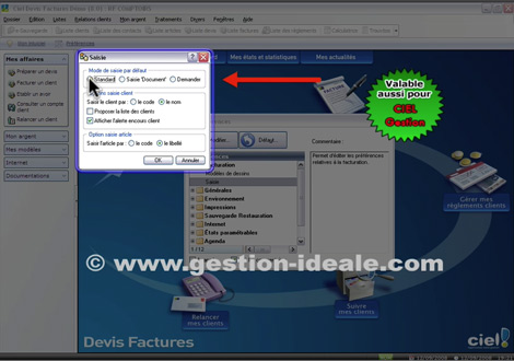 Les modes de saisie standard et document dans Ciel Devis Factures 2009